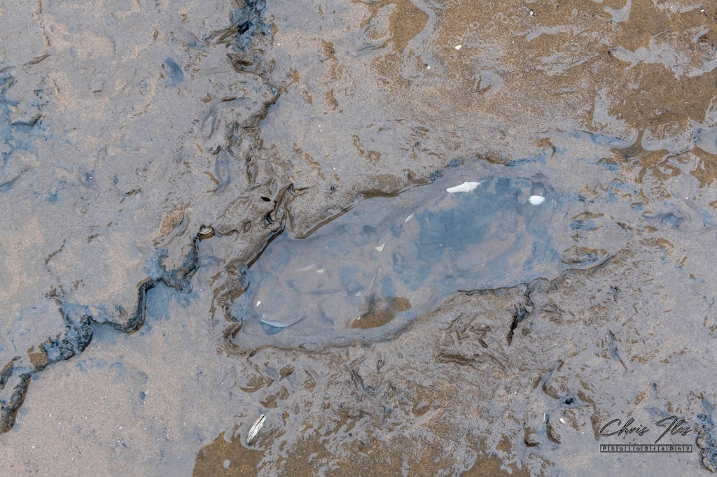 Ancient Human Footprint on Formby beach