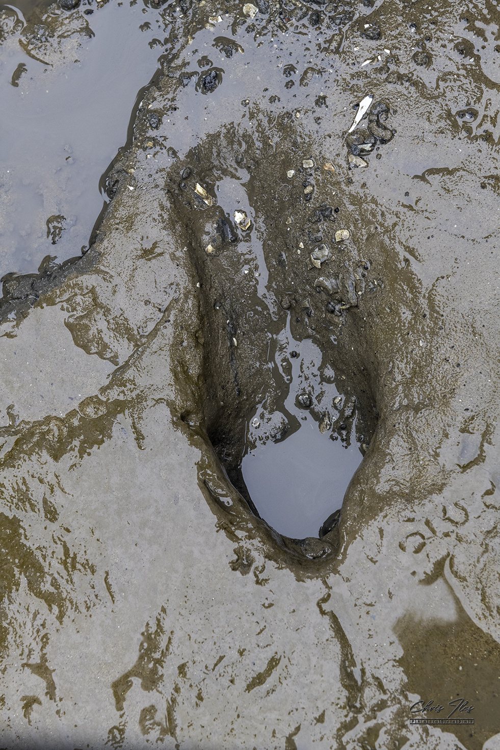 Ancient Human Footprint on Formby beach