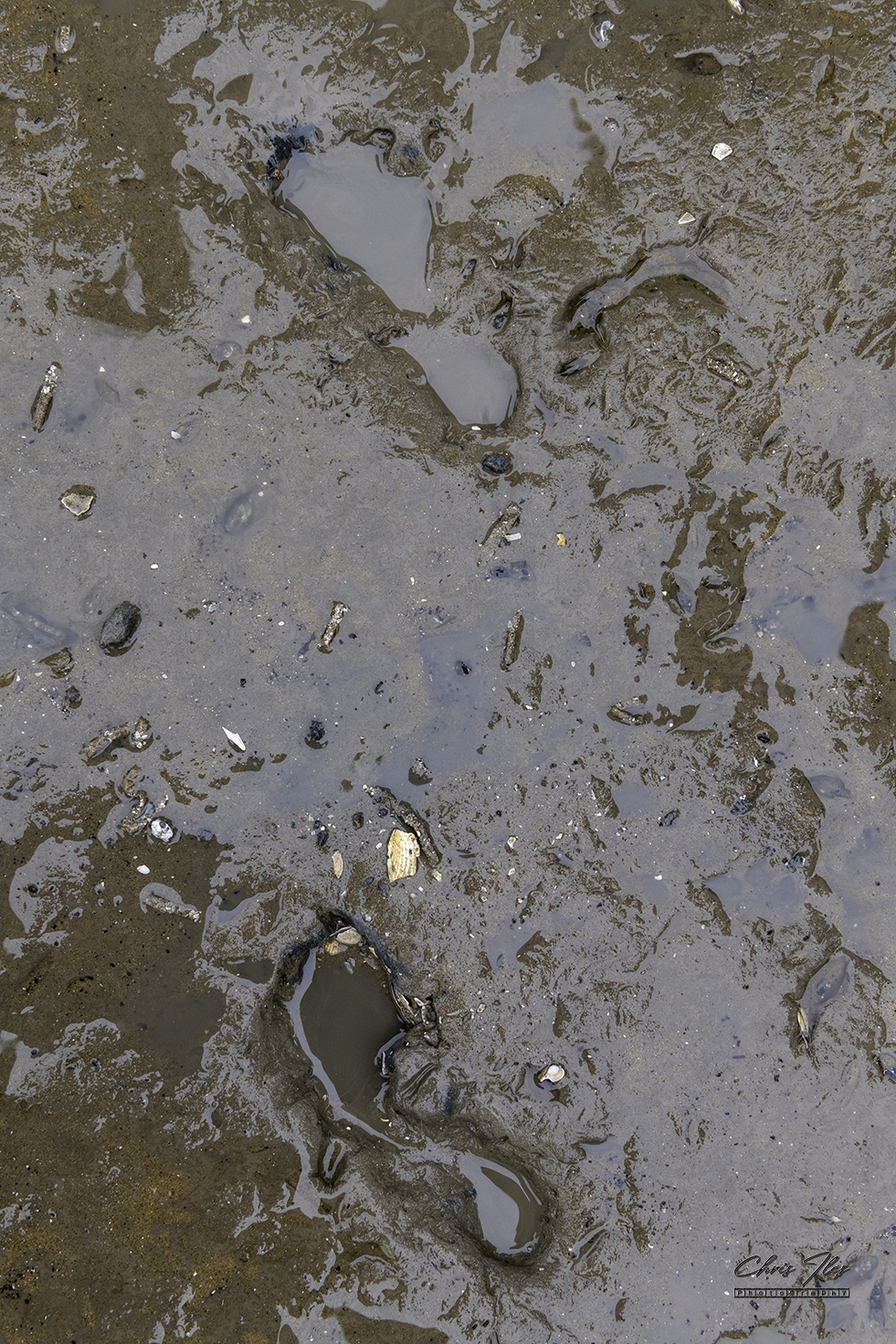 Ancient Children's Footprint on Formby beach